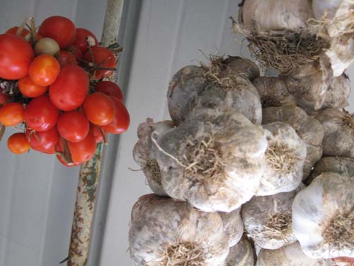 12_Vite sospese_leggera