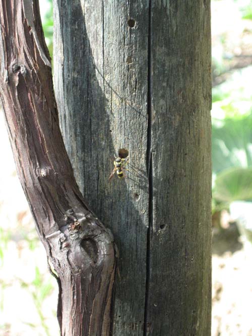 13_Instancabile ricerca_leggera