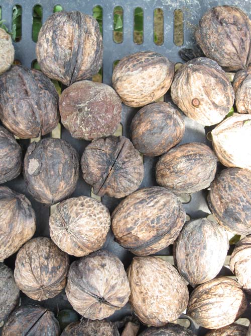 14_Apparente monotonia_leggera