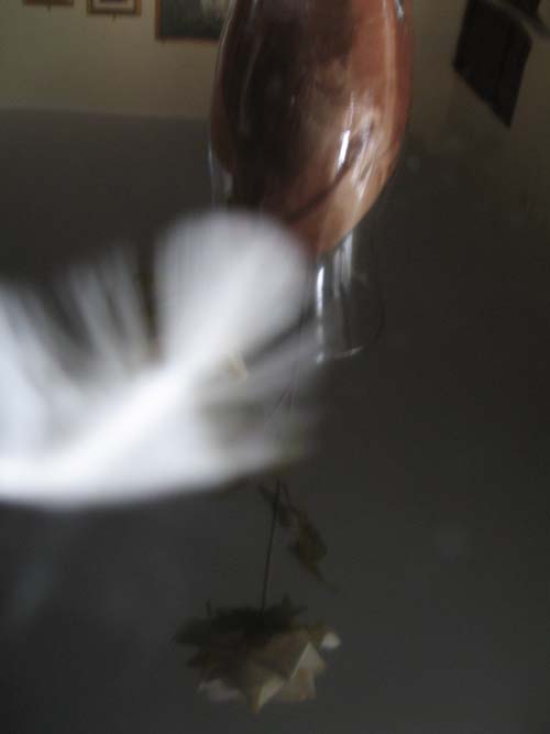 15_Paura di volare_leggera