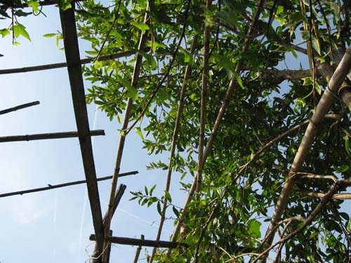 3_Tetto celeste_leggera