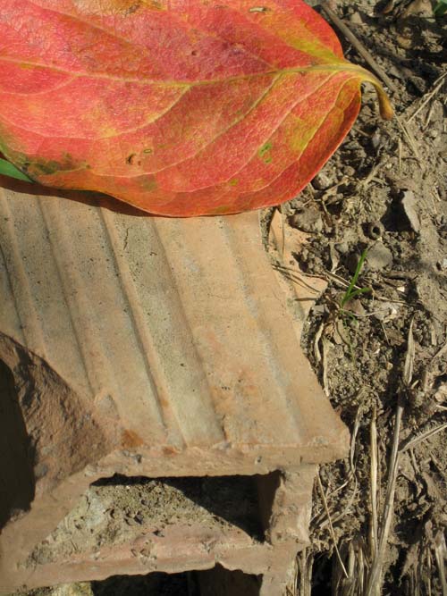 4_A sostegno_leggera