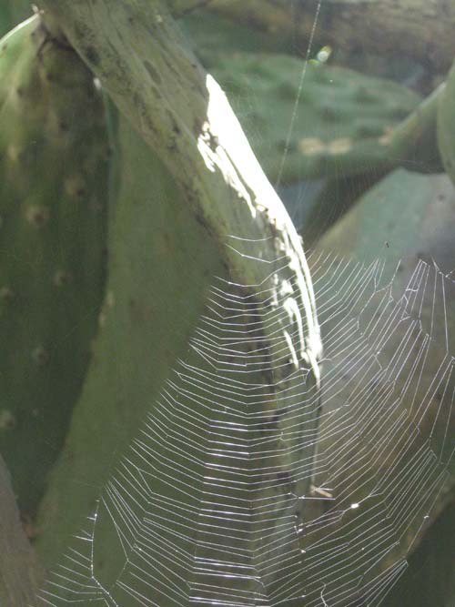 7_Geometria infranta_leggera